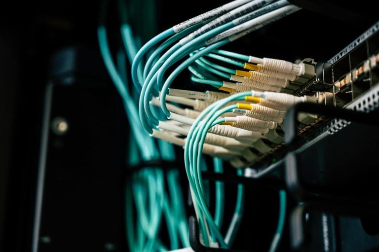 Dedicated Hosting vs Shared Hosting: Which One Do You Actually Need? - Detailed view of network cables plugged into a server